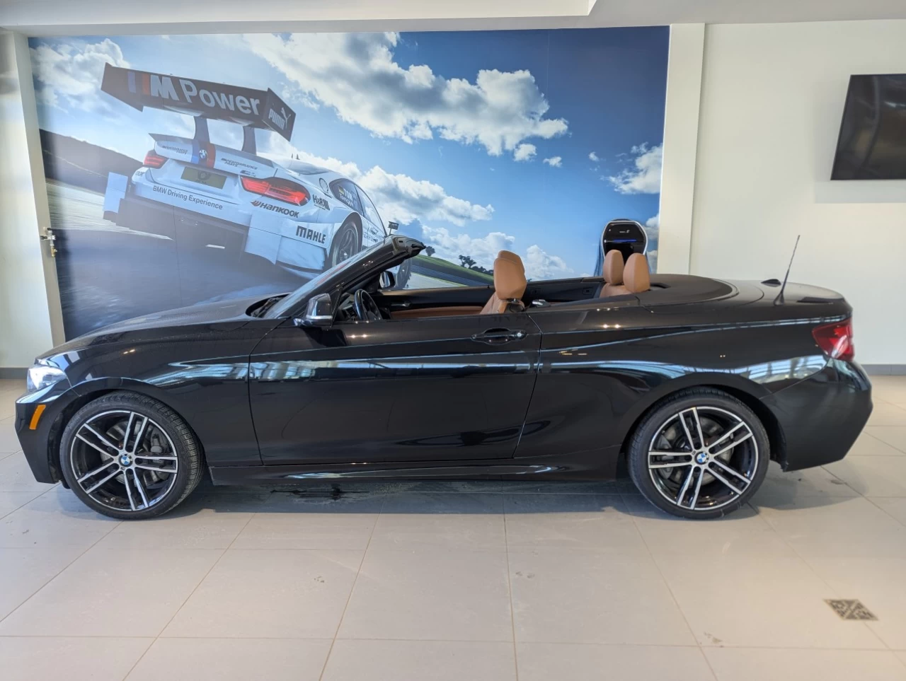 2021 BMW 230i xDrive 230i xDrive Convertible Main Image