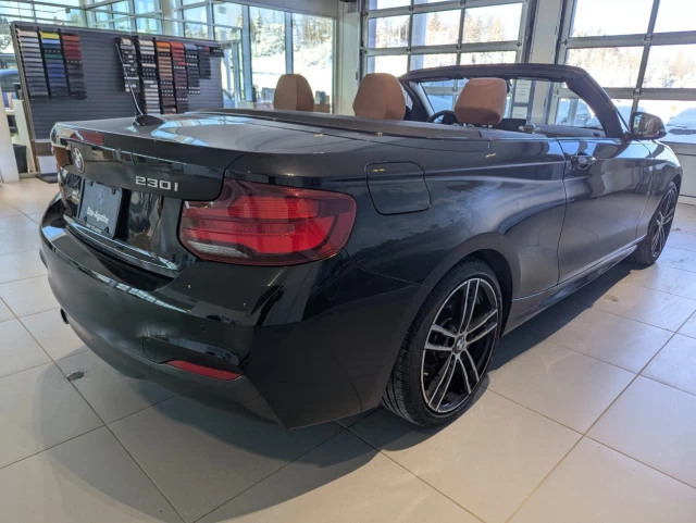 BMW 230i xDrive 230i xDrive Convertible 2021