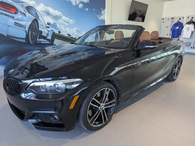 BMW 230i xDrive 230i xDrive Convertible 2021