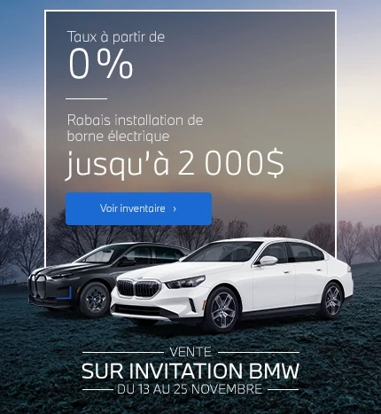 Vente sur invitation - Borne électrique