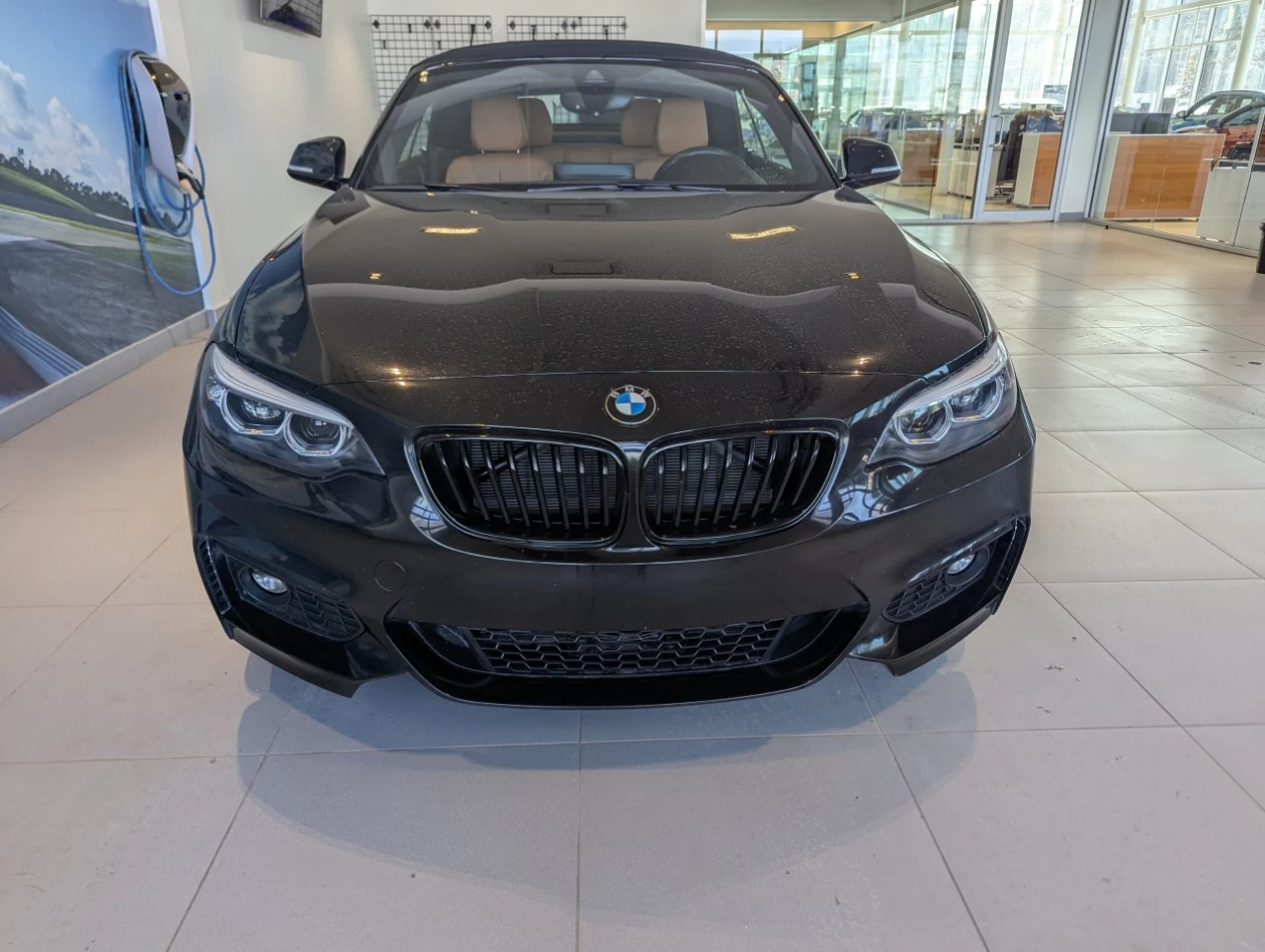 2021 BMW 230i xDrive 230i xDrive Convertible Main Image