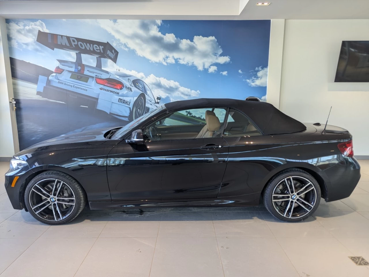 2021 BMW 230i xDrive 230i xDrive Convertible Main Image