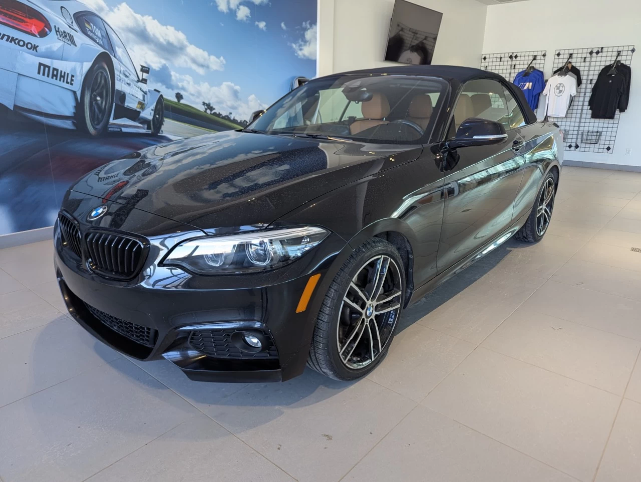 2021 BMW 230i xDrive 230i xDrive Convertible Main Image